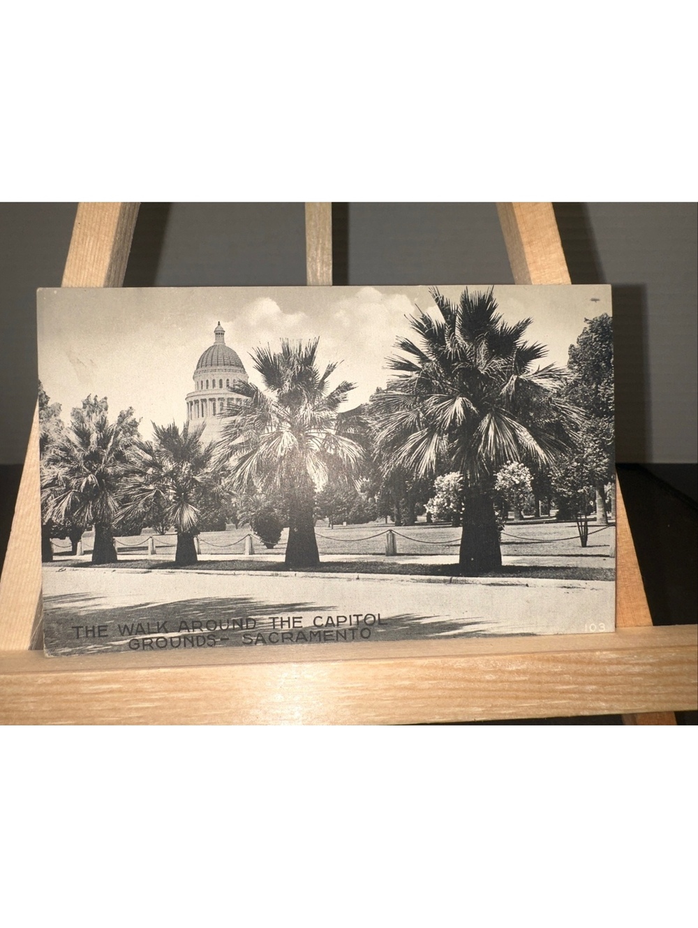 Antique Sacramento Capitol Grounds Edward H Mitchell Postcard No 103